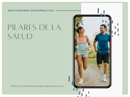 Los 5 Pilares De La Salud - Mediterráneo Quiropráctica