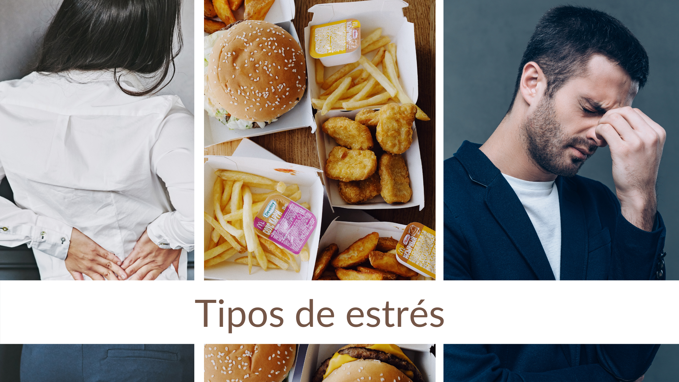 Banner Tipos Estres