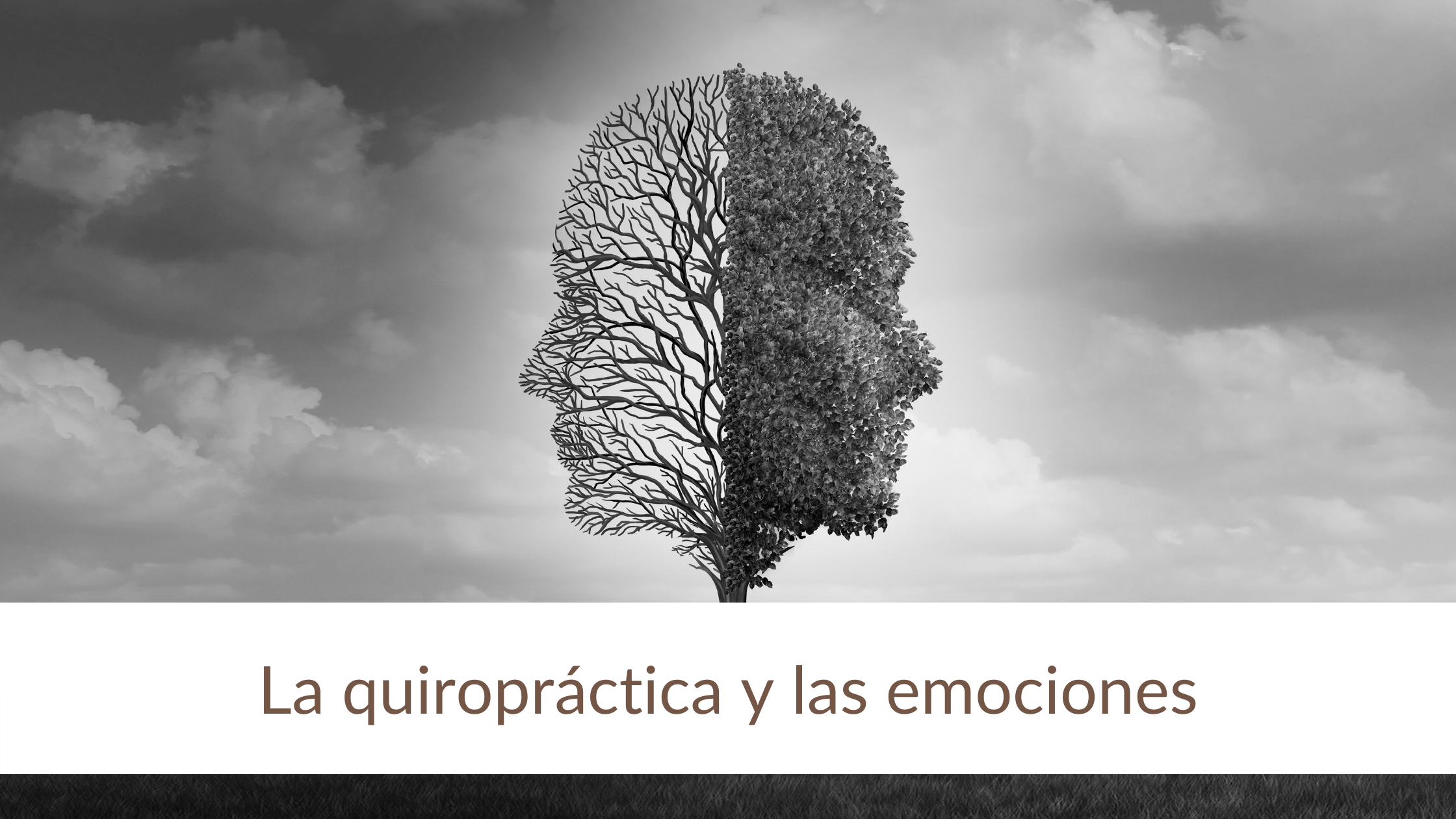 Banner emociones