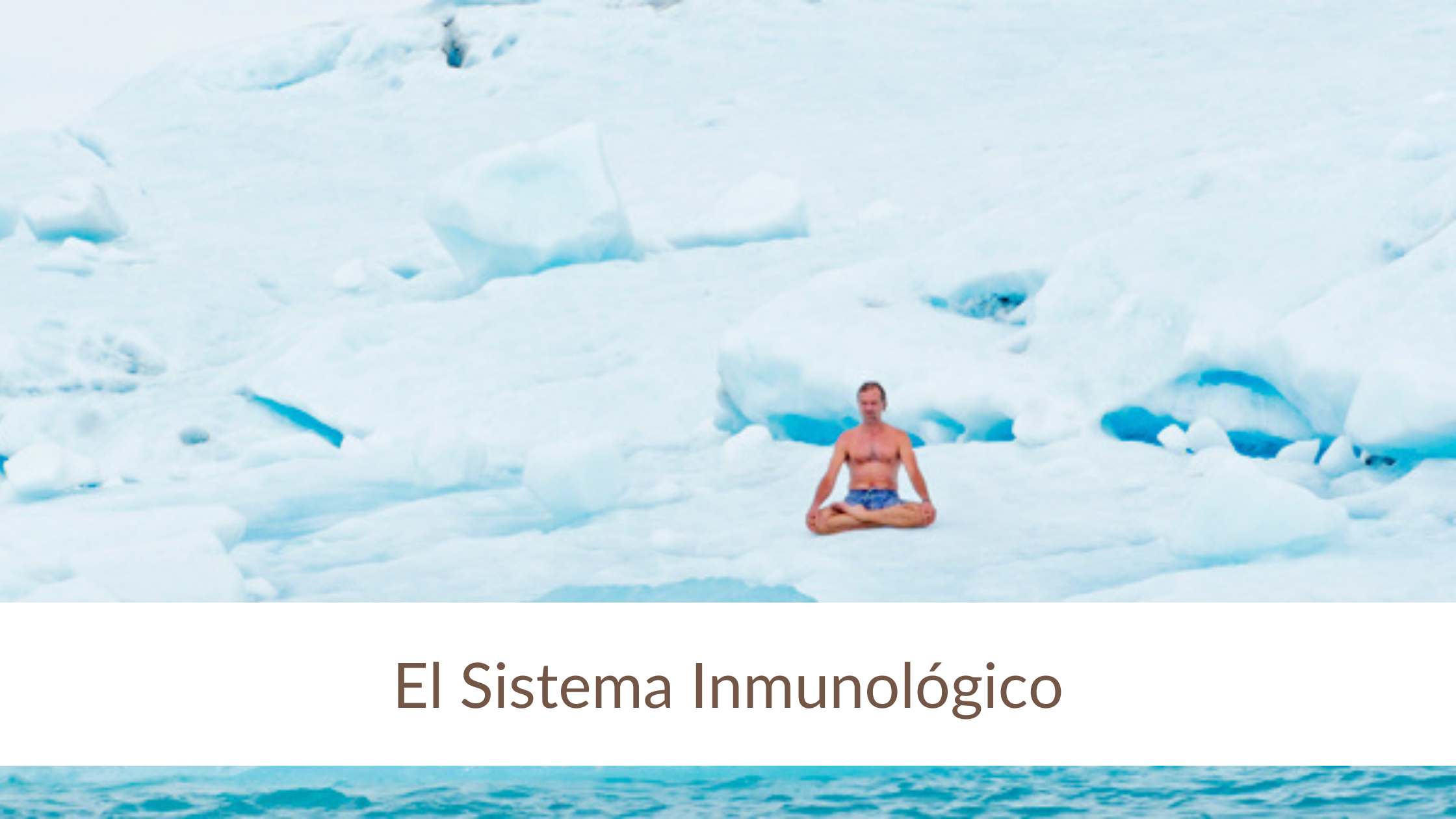 Banner Sistema Inmunológico