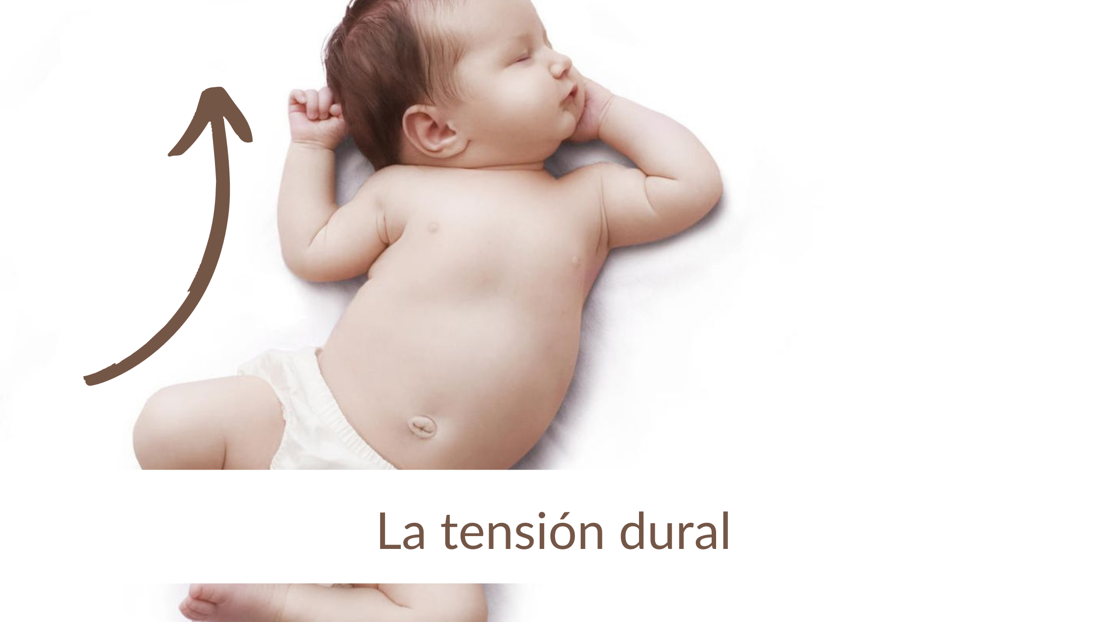 Banner tension dural