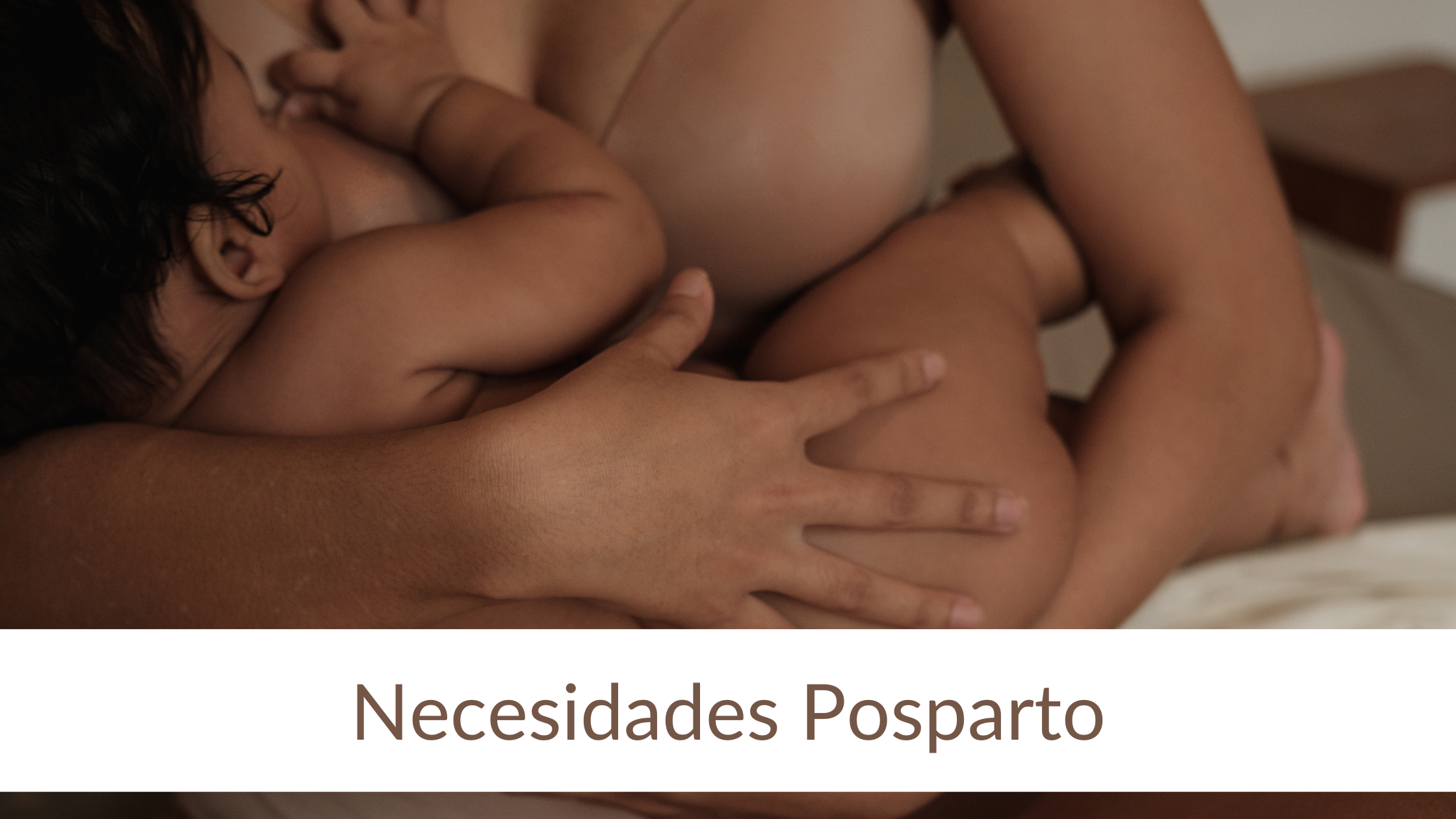 Necesidades posparto