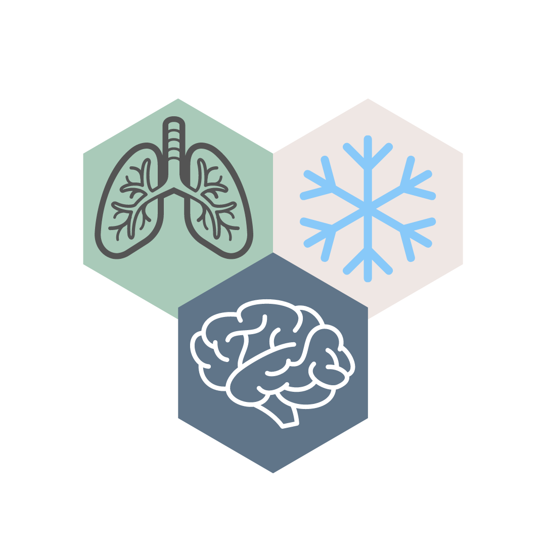 pilares wim hof